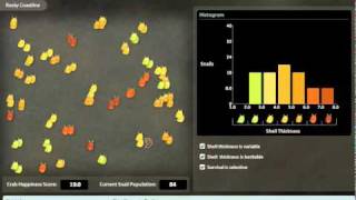 Darwinian Snails Lab Demo [upl. by Ahtabat]