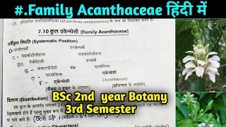 Family Acanthaceae in hindi  BSc 2nd year Botany 3rd Semester [upl. by Ativel]