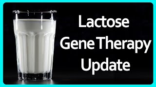 Am I still lactose tolerant  Lactose Gene Therapy Update [upl. by Hinze]