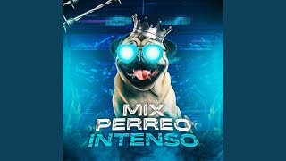 Mix Perreo Intenso [upl. by Artimas]