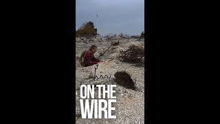 On the Wire  The Great War Shorts EP20  Main de Massiges shorts [upl. by Kroy]