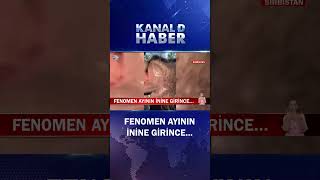 Daha Fazla İzlenmek İçin Ayının İnine Giren Fenomen [upl. by Akimehs]