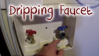 How to Replace a Dripping Faucet [upl. by Elleirda]