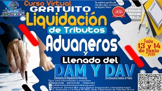 22 Liquidación de tributos aduaneros llenado de DAM y DAV [upl. by Kire750]