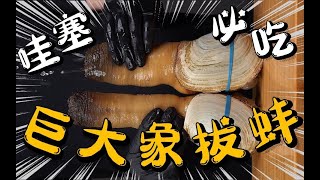 哇塞！地表神鲜美味【象拔蚌】人生必吃！Geoduck must be eaten in life [upl. by Roderigo]