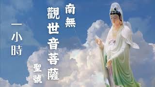 【南無觀世音菩薩】1小時  Guanyin Bodhisattva  觀音菩薩  南无观世音菩萨 [upl. by Ardnas]