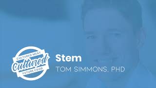 Dr Tom Simmons of Stem [upl. by Cain607]