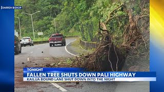 Landslide on Pali Highway disrupts traffic as crews work to clear roads [upl. by Xymenes]