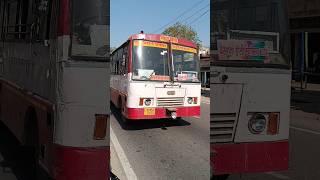 mathura dipo up roadways bus expressbus noida upsrtc [upl. by Sharp]