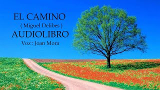 EL CAMINO Miguel Delibes AUDIOLIBRO Narrado por Joan Mora [upl. by Rhodie237]