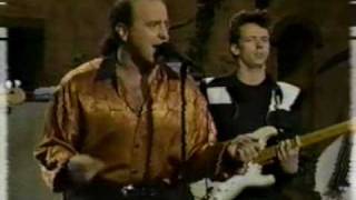 The Fabulous Thunderbirds  Tear it up [upl. by Brindell]