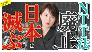 青山議員のペテン。NTT法廃止付提言が閣議決定で「外資に売れるNTT」に。 [upl. by Fitzhugh]