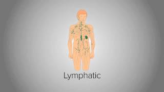 Organ System Overview [upl. by Nairrot]