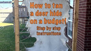 How to tan a deer hide on a budget easy way step by step [upl. by Noiram111]