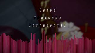 INSTRUMENTAL Cover Teniwoha  Samsa ザムザ [upl. by Meletius]