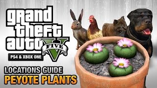 GTA 5  ALL Peyote Plant Locations [upl. by Dwyer]