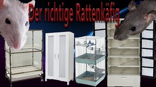 Rattenhaltung aber RICHTIG der Rattenkäfig [upl. by Vetter]