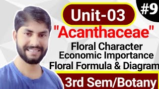 BSc 2nd year Botany Unit3Family Acanthaceae In hindiVegetative characterFloral diagramFormula [upl. by Corb716]