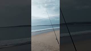 Early Morning Fishing at Merimbula Beach fishingaustralia justfishing beachfishingaustralia [upl. by Maxey455]