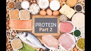 proteins biochemistry protein structure protein synthesis protein foods protein powder Tertiary [upl. by Aerona631]