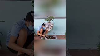 How to create a floating flower pot with just an iron chain shorts [upl. by Kerin]