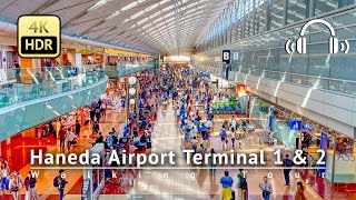 Haneda Airport 2023 Terminal 1 amp 2 Walking Tour  Tokyo Japan 4KHDRBinaural [upl. by Edrei]