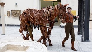 Joey from War Horse [upl. by Timon1]