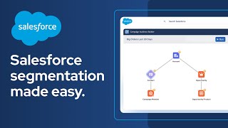 Salesforce segmentation made easy with Campaign Audience Builder [upl. by Dannica]