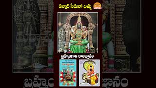 పల్నాటి సీమలో చిచ్చు రేగేనయా kalagnanam veerabrahmendraswamy srikalahasti kandimallaipalli [upl. by Thorner]