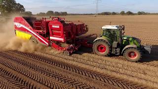 3 Roder auf einem Schlag  Kartoffelnroden XXL 2018  Grimme  Fendt [upl. by Guendolen]