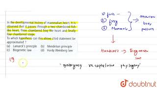 In the developmental history of mammalian heart It is observed that it passes through [upl. by Miranda]