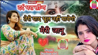 छूटे गो तेरो प्यार लाडले में चली ससुराल कू  sadsong  singer Sandeep atal [upl. by Inalawi]