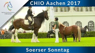 CHIO Aachen 2017 Soerser Sonntag und Preis der Sparkasse Nationenpreis im Voltigieren [upl. by Nyleikcaj]