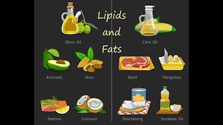 Lipids Fats and Cholesterol  Macronutrient Chemistry [upl. by Arden]