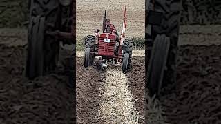 McCormick B275 Tractor at the Abergavenny Ploughing Match Friday 13th September 2024 [upl. by Krystalle]