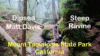 Dipsea Steep Ravine and Matt Davis Loop Mount Tamalpais State Park California [upl. by Atiuqan]