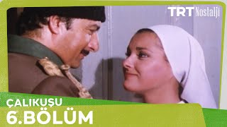 Çalıkuşu 6 Bölüm [upl. by Tildie323]