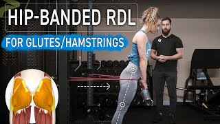 Banded Barbell Romanian Deadlift RDL  Proper Technique for Targeting Glutes [upl. by Maxy]