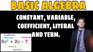 Algebra Basics  What is Algebra  Constant Coefficient Variable Literals Term  HindiUrdu [upl. by Anelrihs796]