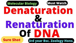 Denaturation and Renaturation of DNA ll Melting Temperature Tm ll DNA denaturation [upl. by Ahselaf]