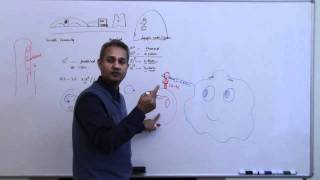 Immunology Neutrophil Lecture 3 Part 9 [upl. by Rekrap]