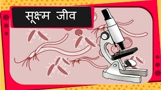 Science  Good and Bad Microbes Diseases  Hindi [upl. by Aggappora159]