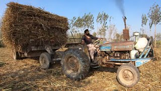 Tractor Stunt  Ford 3610 vs Ford 4600  Excellent Performance at the Field [upl. by Otreblanauj]