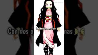 🥰 sigo asiendo videos de vivaces si o no 🥰 [upl. by Aniale]