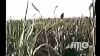 Qabsashadii Magalada Jinacsani 1977flv [upl. by Nunciata]