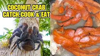 Tatus COCONUT CRAB CATCH COOK amp EAT [upl. by Brook420]