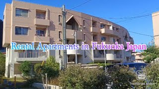 Japan govt subsidized rental apartments in Kitakyushu Fukuoka 【素敵な市営住宅】 [upl. by Nytsua]