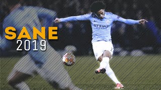 Leroy Sane Insane Skill Show  201819 [upl. by Karil]