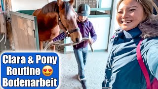 Claras Pony bereit für Reitturnier 😍 Sattel passt nicht Bodenarbeit auf dem Reiterhof  Mamiseelen [upl. by Latvina]