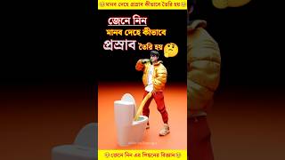 মানব দেহে প্রস্রাব কীভাবে তৈরি হয় facts knowledge [upl. by Frendel812]